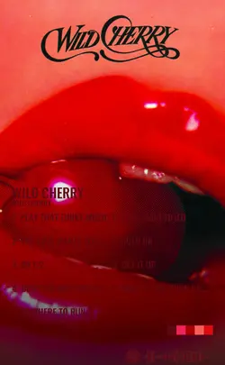 Wild Cherry - Wild Cherry.jpg